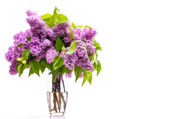 Transparent Glass Vase Flowers Branches Lush Lilac Isolated White Background — Stock Photo, Image