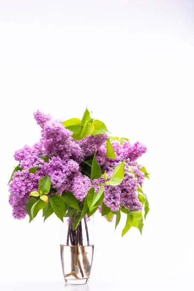 Transparent Glass Vase Flowers Branches Lush Lilac Isolated White Background — Foto de Stock