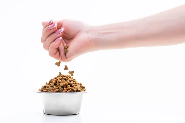 Dry Pet Food Woman Hand Pouring Food Plate High Quality — Foto Stock