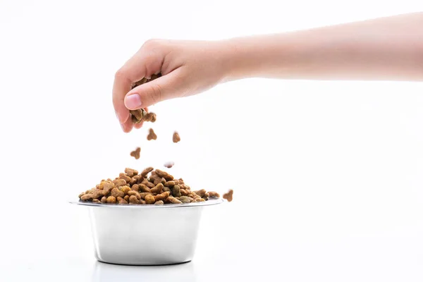 Comida Seca Para Mascotas Mano Una Mujer Vertiendo Comida Plato — Foto de Stock