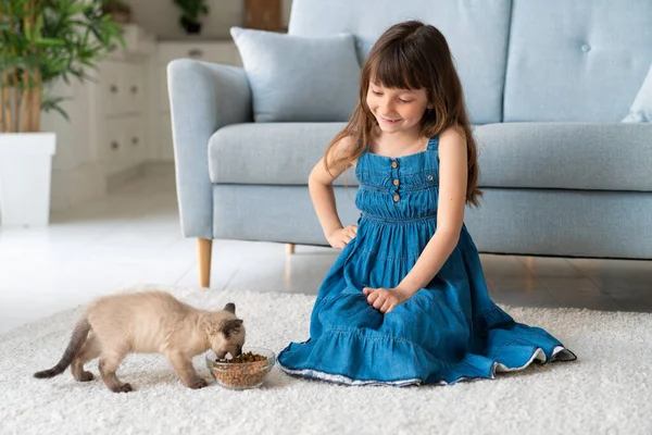 Cute Little Girl Sits Room Carpet Feeds Little Kitten Children — Photo