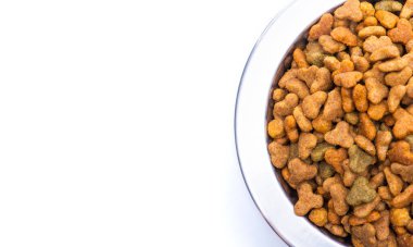 Close-up of balanced dry pet food in a metal plate for cats and dogs. High quality photo
