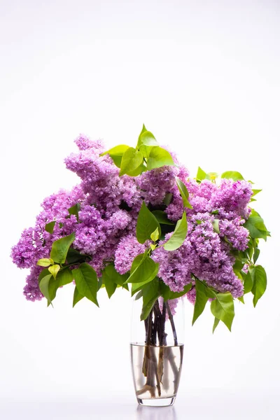 Beautiful Spring Bouquet Purple Lilacs Transparent Glass Vase Isolated White — Zdjęcie stockowe