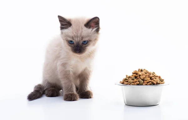 Little Kitten Turned Away Plate Food Ill Does Want Eat — Stock Photo, Image