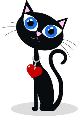 siyah kedi