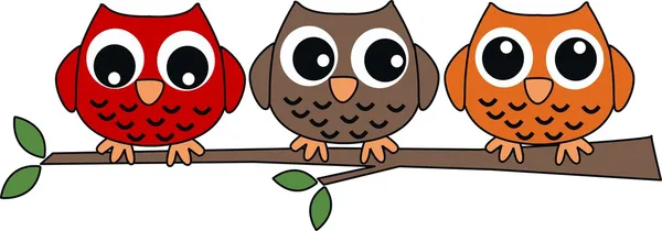 üç tatlı baykuşlar