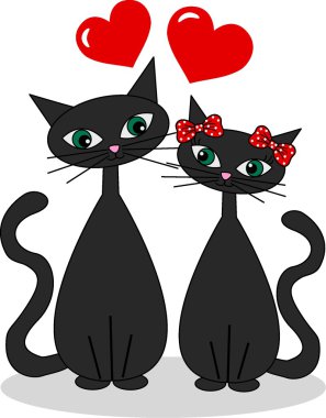 İki aşık kedi.