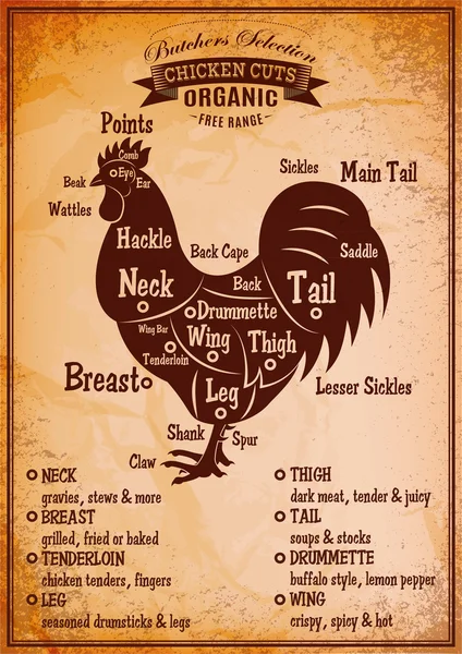 Poster katlediyor horoz ayrıntılı bir diyagram ile