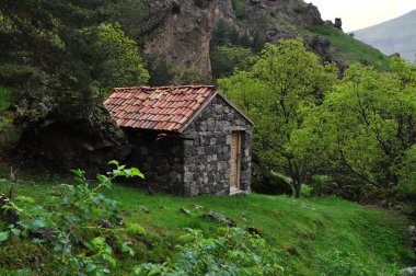 A small house in the mountains of Georgia clipart
