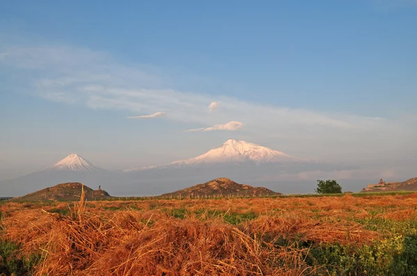 Ararat in armenien — Stockfoto