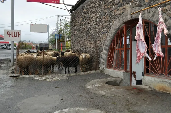 Slaktkroppar av lamm nära slaktaren i Armenien — Stockfoto