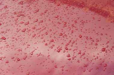 arabanın üstüne damla yağmur