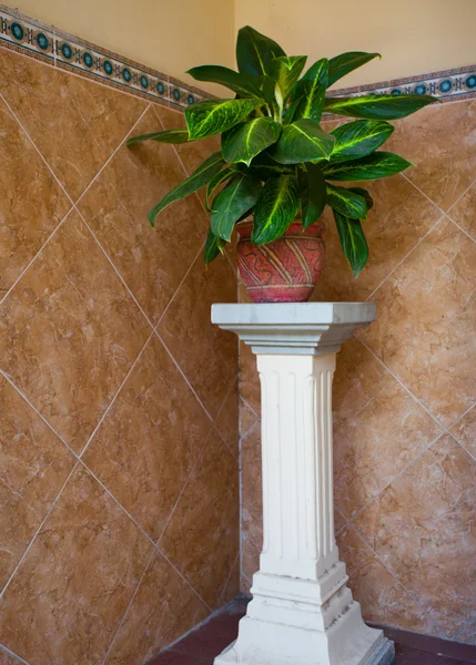 Flower pot on column — Stock Photo, Image