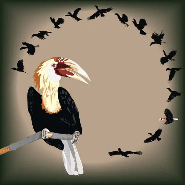 Walden 's Hornbill — стоковый вектор