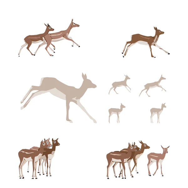 Набор иллюстраций антилопы — стоковый вектор