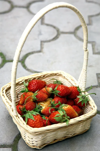 Frische Erdbeeren im weißen Korb — Stockfoto