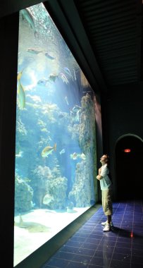 Man near aquarium with fish in Oceanographic Museum Monaco clipart