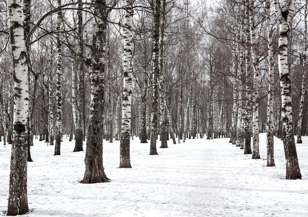 Jarní městský park v březnu — Stock fotografie