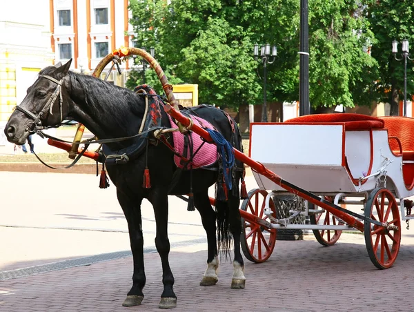 Horse and cart at main street in Nizhny Novgorod — Stock Photo, Image