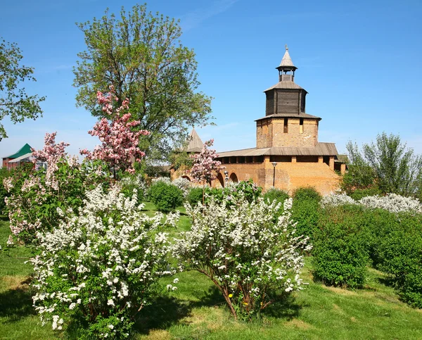 Klocktornet i Kreml Nizjnij novgorod — Stockfoto