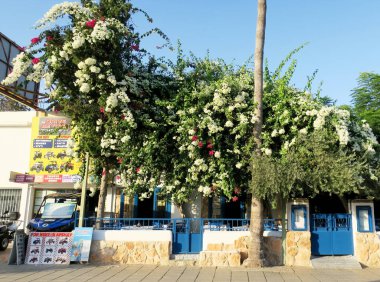 Ayia Napa, Kıbrıs - 14 Ekim 2021: Geleneksel mutfak için Kıbrıs Rum Kesimi 'nin tipik bir tavernası akşam misafirlerini bekliyor
