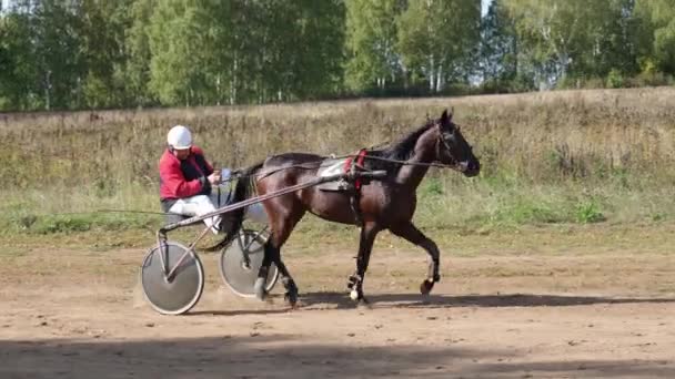 Nizjni Novgorod Rusland September 2021 Paardrijden Het Veld Het Hippodroom — Stockvideo