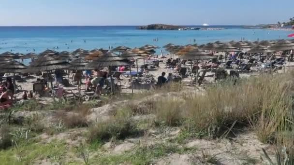 Mini Jardín Botánico Cerca Popular Playa Nissi Ayia Napa Chipre — Vídeo de stock