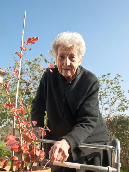 yaşlı kadın
