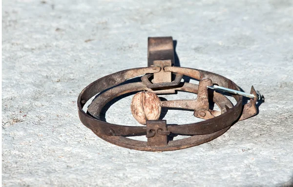 Rusty trap — Stock Photo, Image