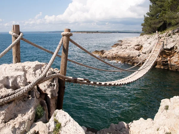 Ponte suspensa — Fotografia de Stock