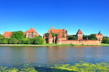 Germen kalede: malbork, Polonya.