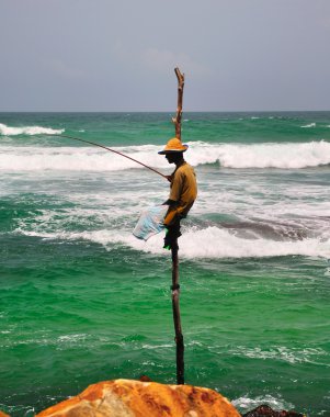 balıkçı-sri Lanka