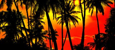 Palm on sunset clipart