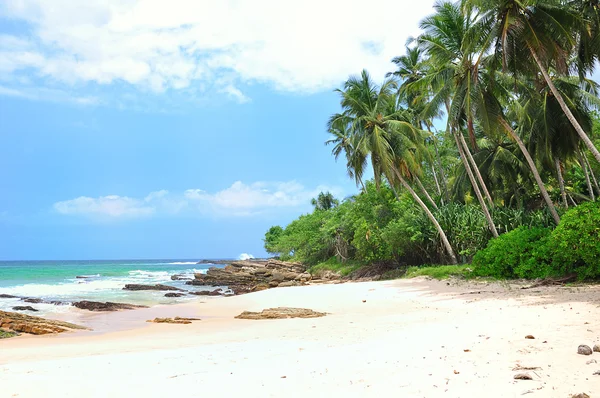 Playa tropical. —  Fotos de Stock