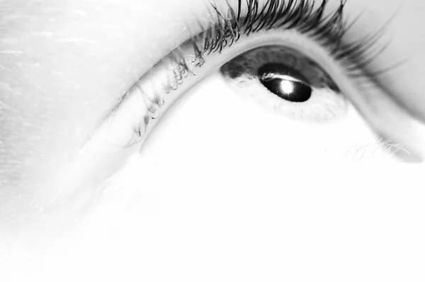 Eye on white. — Stock Photo, Image