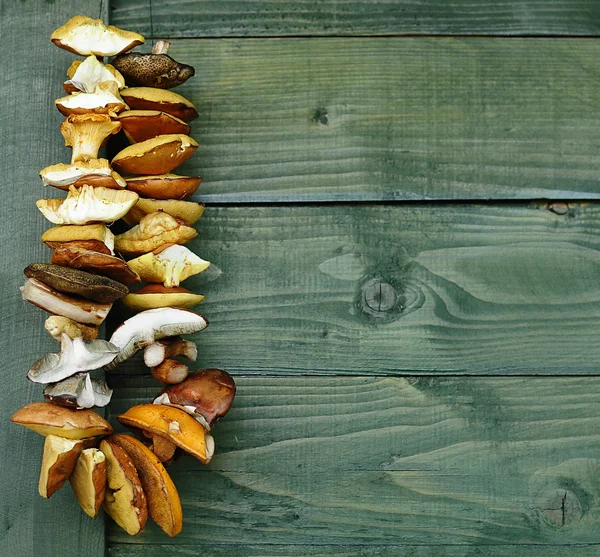 bir dize olarak kurutulmuş mantar.