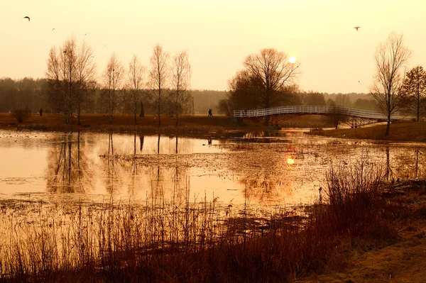 Natuurlijke meer op zonsondergang. — Stockfoto