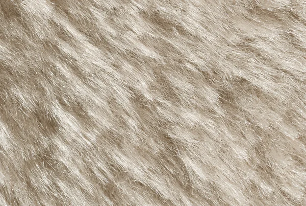 White fur background. — Stock Photo, Image