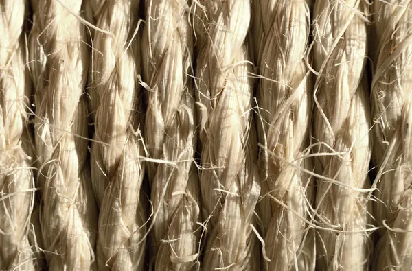 Background of straw. Close-up. — Stock Photo, Image