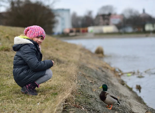 Dziecko karmienie kaczek. — Zdjęcie stockowe