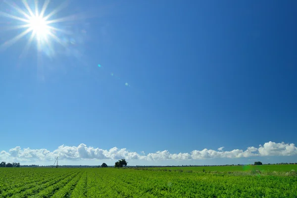 Country landscape with beautiful sky. — Stock Photo, Image