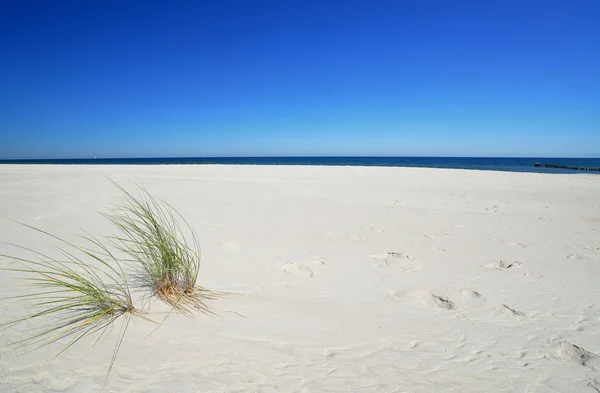 Baltic sea. — Stock Photo, Image