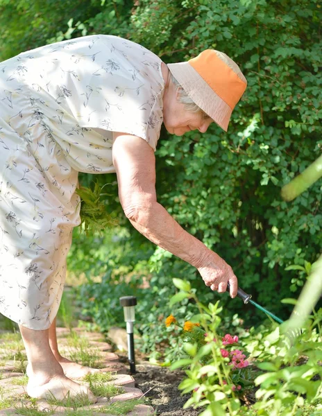 Senior woman working in garden. — Stock Photo, Image
