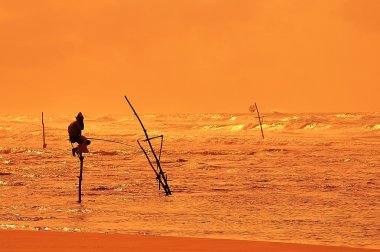 sri Lanka günbatımı arka plan, okyanusta yalnız balıkçı balıklar.