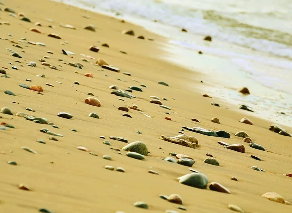 Stones on the beach — Stock Photo, Image