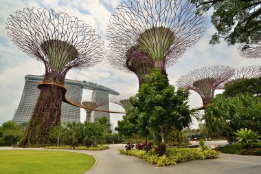 Körfez bahçeleri. Singapur.