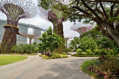 Körfez bahçeleri. Singapur.