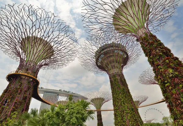 Jardines junto a la bahía. Singapur . —  Fotos de Stock