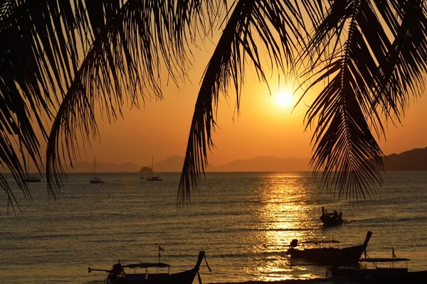 Zonsondergang met palm leavs. — Stockfoto