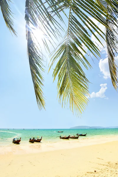 Barca a coda lunga sulla spiaggia rocciosa di Krabi, Mar delle Andamane, Thailandia — Foto Stock